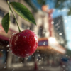 FLEUR DE CHERRY - AF72 5787 aroomiõli kosmeetikasse ja seepi