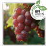 Red Grapes doftolja för kosmetika och tvål AF72 3012