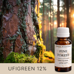 Pine Forest aroomiõli