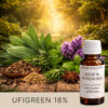 SAGE-PATCHOULI AF702224 aroomiõli