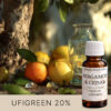 BERGAMOT & CEDAR AF709913 aroomiõli