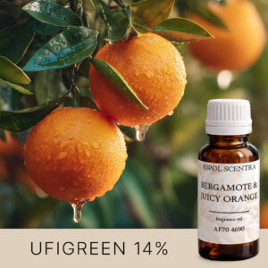 BERGAMOTE & JUICY ORANGE AF704690 aroomiõli