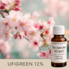 BLOSSOM BURST AF707357 aroomiõli