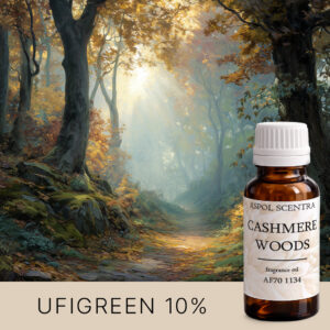 CASHMERE WOODS AF701134 aroomiõli