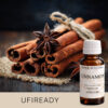 CINNAMON AF701728 aroomiõli