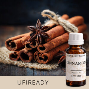 CINNAMON AF701728 aroomiõli