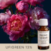 PEONY QUEEN AF706731 aroomiõli