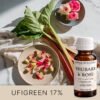 RHUBARB & ROSE AF707915 aroomiõli