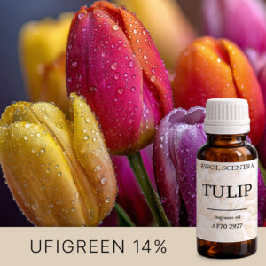 TULIP AF702927 aroomiõli