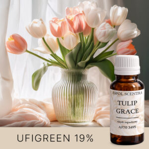 TULIP-GRACE AF703495 AROOMIÕL
