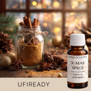 X-MAS SPICE AF7030291 aroomiõli