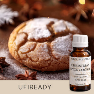 CHRISTMAS-SPICE-COOKIE AF702244 aroomiõli