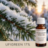 EVERGREEN-WINTER AF709217 aromātiskā eļļa