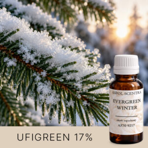 EVERGREEN-WINTER AF709217 aroomiõli