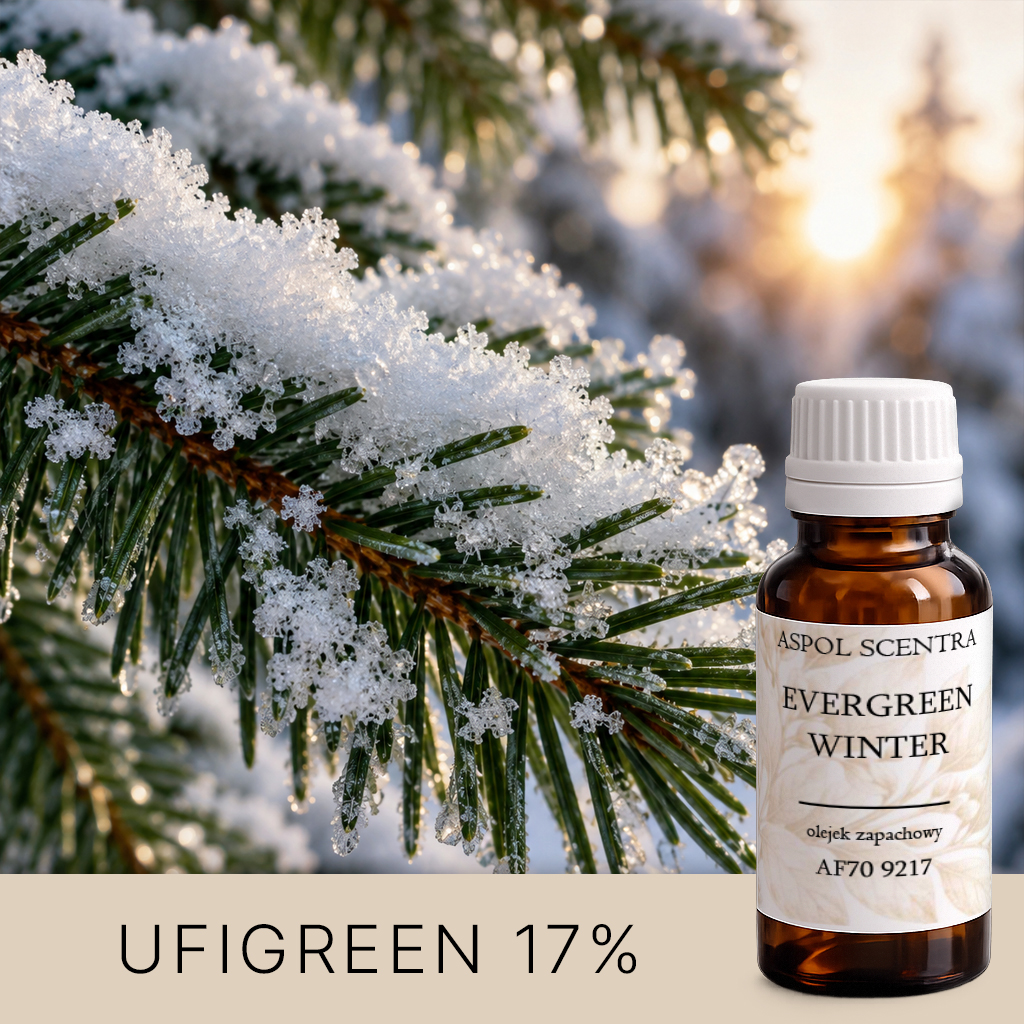 EVERGREEN-WINTER AF709217 aroomiõli